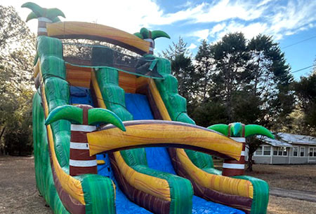 14 Tropical Slide Water Slide Photo 2