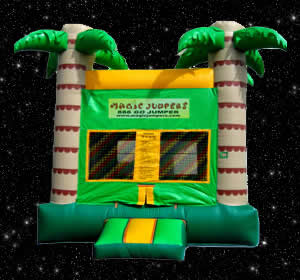 Inflatable Jump house,  Moonwalkers Inc., Crawfordville Bounce House, Crawfordville Moonwalks, Crawfordville Inflatables, Tallahassee Inflatables